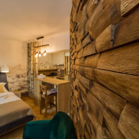 Zen Alpin Apartamento Braşov